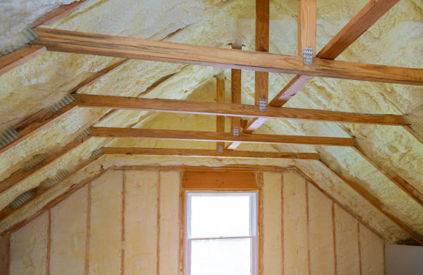 Types of Insulation We Offer in Rayne, LA