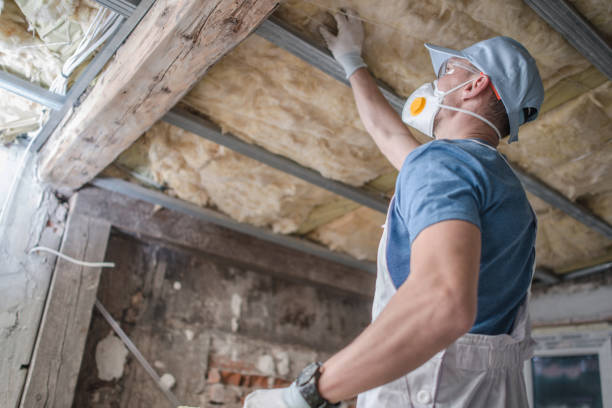 Best Commercial Insulation in Rayne, LA