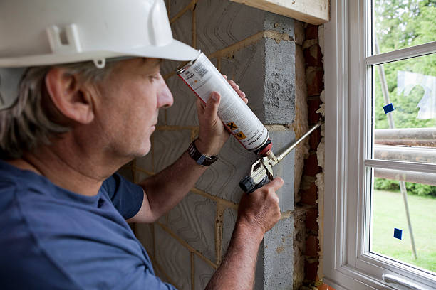 Best Specialized Insulation Services in Rayne, LA